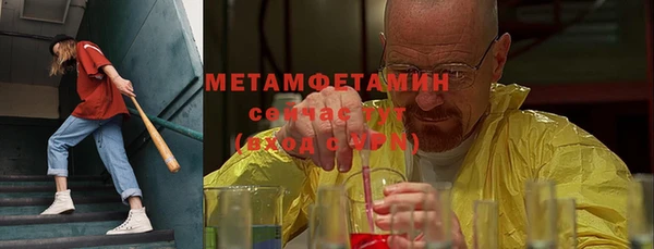 прущие грибы Балабаново