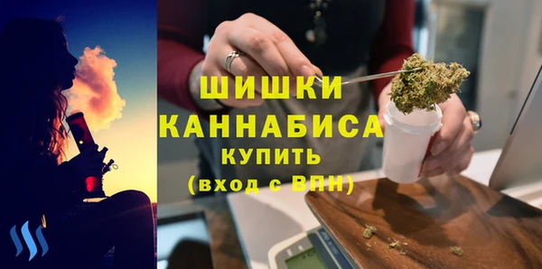 прущие грибы Балабаново