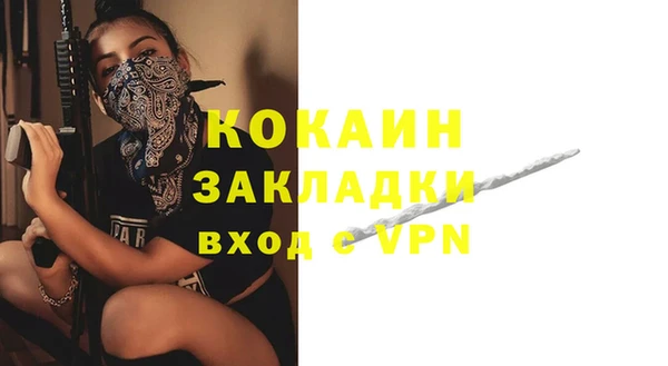 прущие грибы Балабаново