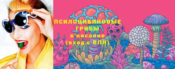 прущие грибы Балабаново
