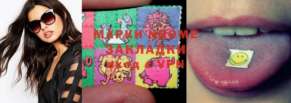 прущие грибы Балабаново
